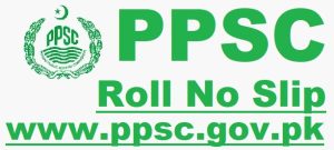 PPSC Services and General Administration Department Jobs 2024 Roll No Slip